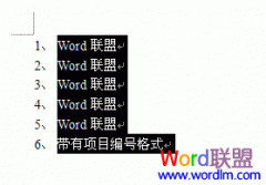 Word2003����ȡ��������Ŀ��Ÿ�ʽ