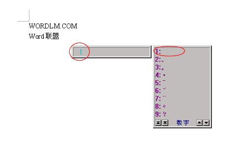word2003����ʲô����Ӣ��������������ַ�ͳ��
